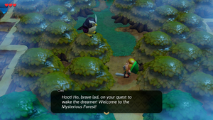 Owl in Mysterious Forest LA Switch.png